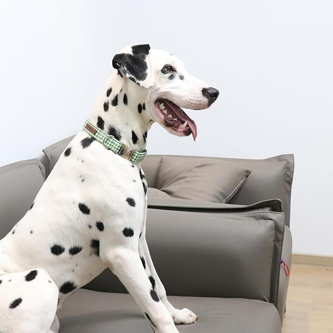 Lionet Paws Dog Collar, Comfortable Adjustable Cute Collar with Metal Buckle for Male Female Dogs Gift, Green&White Grid Pattern, XLarge, Neck 16-26 inches