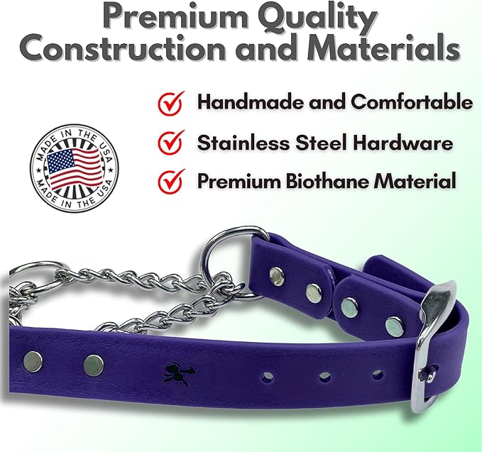 Martingale Collar for Dogs, Biothane, Stainless Steel Hardware, No Pull, Made in The USA, Professional Grade, XS, Purple