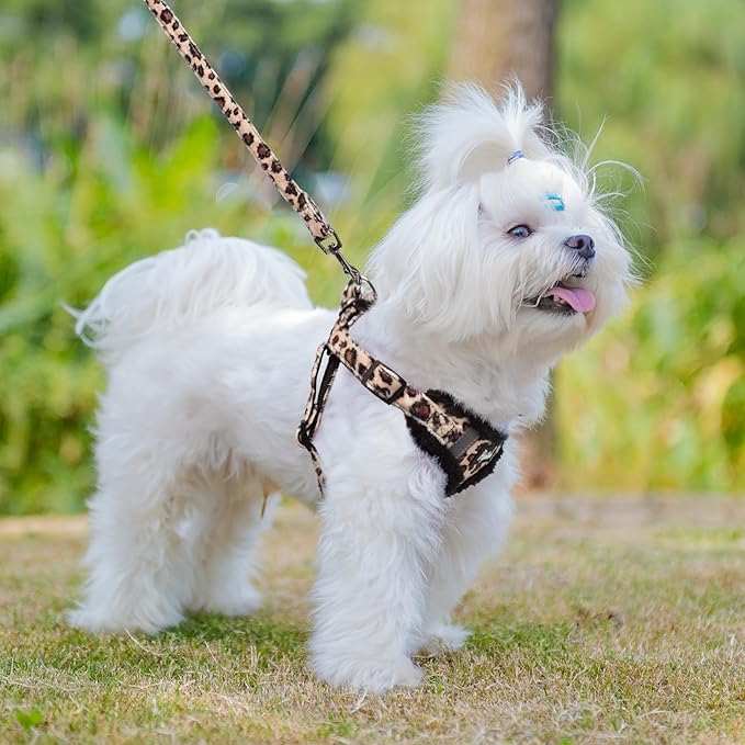 PUPTECK No Pull Dog Harness and Leash Set Reflective No Choke Step in Puppy Halter for XS Small and Medium Sized Dogs, Brown Leopard Print, Plush, XS