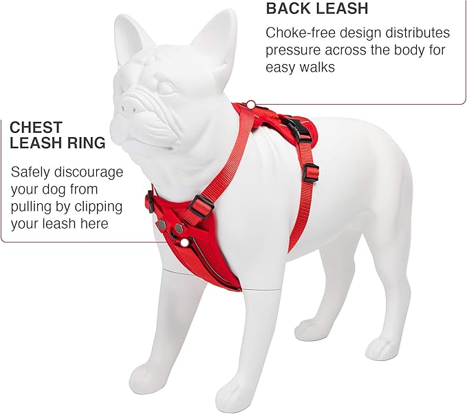 Voyager Freestyle 4-in-1 Dog Harness - Patent Pending Adjustable Webbing Harness with Removable Padding for Small to Large Dogs by Best Pet Supplies - Red, XS