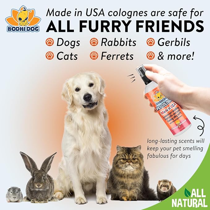 Bodhi Dog Natural Dog Cologne (Orange Sherbert) - Premium Scented Deodorizing Pet Perfume with Conditioner for Dogs & Cats - Keeps Pets Fresh & Clean - Gentle and Safe Formula, Made in USA (8 Fl Oz)