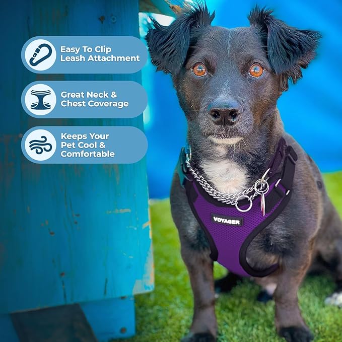 Voyager Step-in Lock Pet Harness - All Weather Mesh, Adjustable Step in Harness for Cats and Dogs by Best Pet Supplies - Purple/Black Trim, M