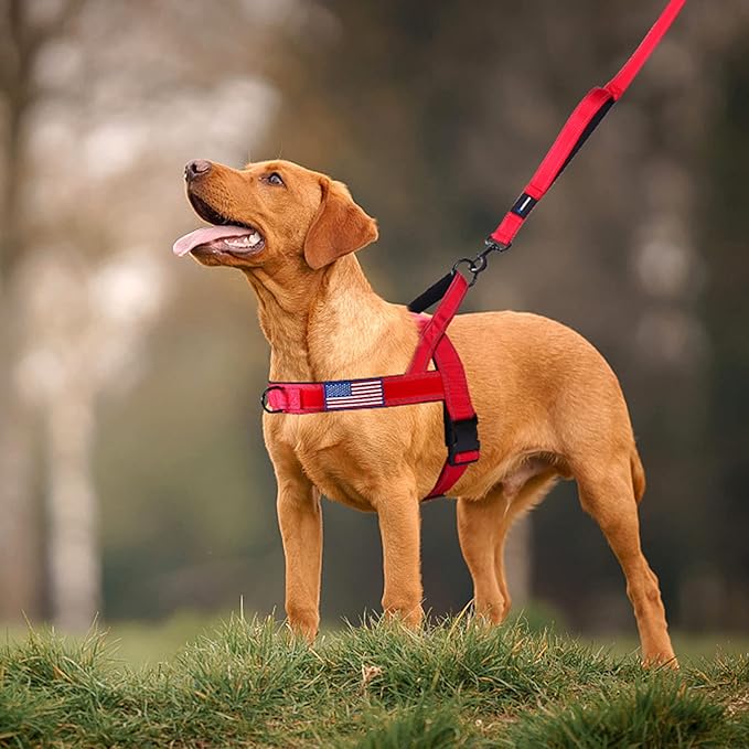 Annchwool No Pull Dog Harness with Soft Padded Handle,Reflective Strip Escape Proof and Quick Fit to Adjust Dog Harness,Easy for Training Walking for Small & Medium and Large Dog(Red,L)