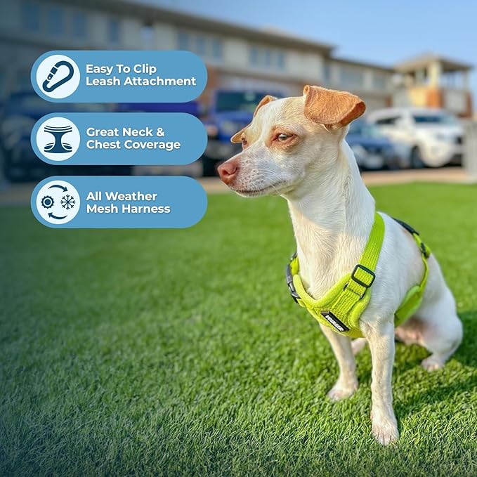 Voyager Step-in Air Dog Harness - All Weather Mesh, Reflective, No Pull Harness for Small, Medium Dogs, Cats - Secure with Hook & Loop Fastener, Buckle, Double D-Rings - Lime Green, S