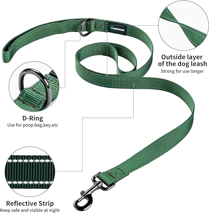 Annchwool No Pull Dog Harness with Padded Handle+5 Ft Leash,Reflective Strip Escape Proof and Quick Fit to Adjust Dog Harness,Easy for Training Walking for Small & Medium and Large Dog(Green-Set,M)