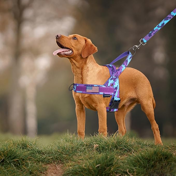 Annchwool No Pull Dog Harness with Padded Handle+5 Ft Leash,Escape Proof and Quick Fit to Adjust Dog Harness,Easy for Training Walking for Small & Medium and Large Dog(Camo Purple Set,M)