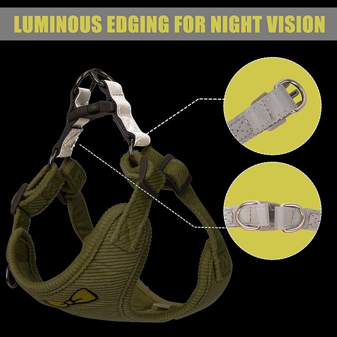 No Pull Dog Harness with Leash Pet Soft Vest Harness and Leash Set Dog Cat No Choke Escape Proof Harness Reflective Step in Harness for Small Medium Dogs Cats (Pastel Green, XLarge)