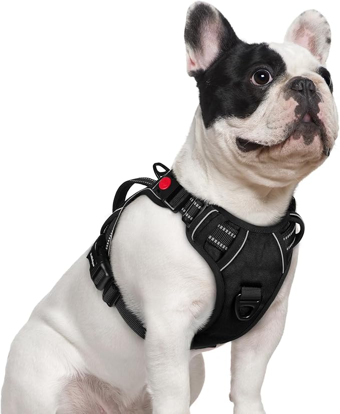 rabbitgoo Dog Harness Small Sized Dog, No Pull Pet Harness with Soft Padded Handle, Adjustable Reflective Vest with 3 Buckles, Easy Walking Harness with 2 Leash Clips, Black, S