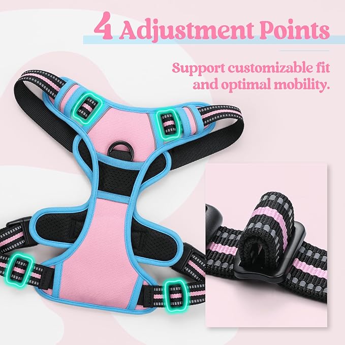 rabbitgoo Dog Harness, No-Pull Pet Harness with 2 Leash Clips, Adjustable Soft Padded Dog Vest, Reflective No-Choke Pet Oxford Vest with Easy Control Handle for Large Dogs, Pink & Blue, S