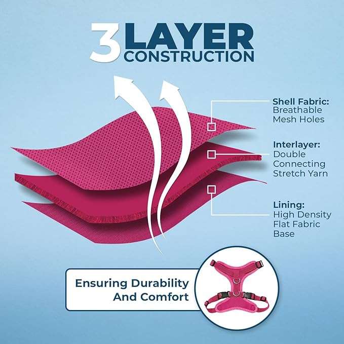 Voyager Step-in Lock Dog Harness w Reflective Dog Leash Combo Set with Neoprene Handle 5ft - Supports Small, Medium and Large Breed Puppies/Cats by Best Pet Supplies - Fuchsia, XS