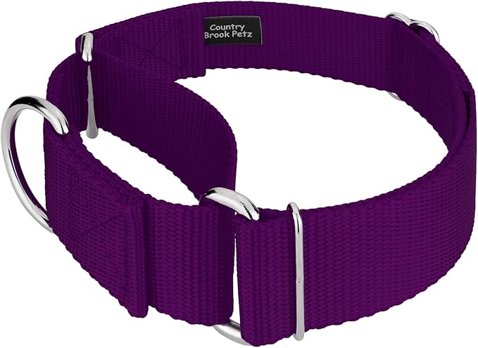 Country Brook Petz 1 1/2 Inch Martingale Heavy Duty Nylon Adjustable Dog Collar for Small, Medium, Large Breeds - Vibrant 17 Color Selection (Purple, Large)