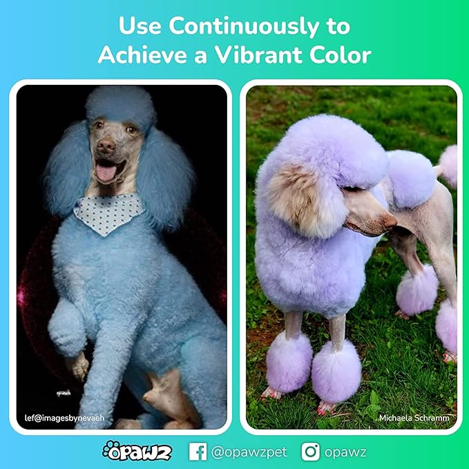 OPAWZ Color Depositing Shampoo for Dogs, Semi-Permanent Dog Hair Dye Coloring Safe Shampoo, Non-Toxic Colorwash Shampoo for Pets (Fuschia, 2.1 fl.oz / 60mL)