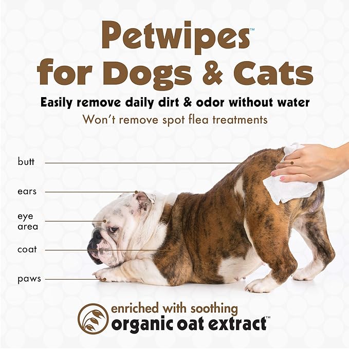 Petkin Large Oatmeal Pet Wipes for Dogs and Cats, 400 Count, Soothes Itchy Skin and Cleans Ears, Face, Butt, Body and Eye Area