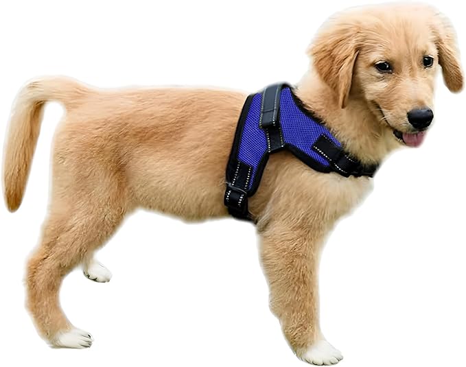 No Pull Reflective Adjustable Dog Harness With Handle- Comfortable Soft All Weather Mesh, Easy On Puppy Harness For Small Medium and Large Dogs (Blue) X-Large