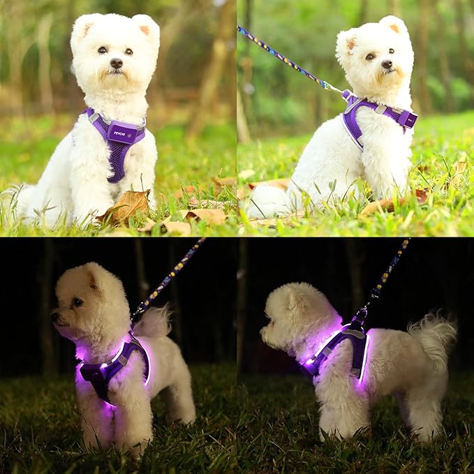 Light Up Dog Harness,LED Dog Harness Rechargeable, Lighted Dog Vest Harness for Night Walking,Reflective Safety Vest for Small Medium Large Dogs,Adjustable Soft Mesh,Purple,XS