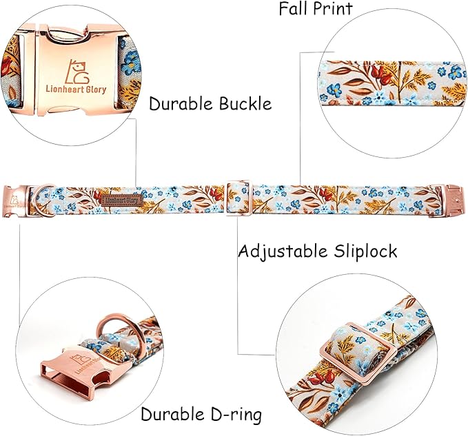 Lionheart glory Premium Dog Collars Fall Dog Collar, Heavy Duty Adjustable Dog Collar for X-Small Puppy Dogs Maple Leaf Dog Collar