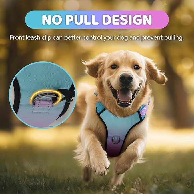 QQPETS No Pull Dog Harness with 2 Leash Clips，Adjustable Soft Padded Dog Vest, Reflective Outdoor Pet Oxford Vest with Easy Control Handle for Small to Large Dogs Walking Training