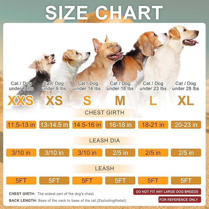 BEAUTYZOO Step in Dog Harness and Leash Set,Reflective Dog Harness No Pull No Choke Puppy Harness for Small Medium Large Dogs Cats,Soft Padded Mesh Vest Harnesses for Girl and Boy Pets, Strawberry XS