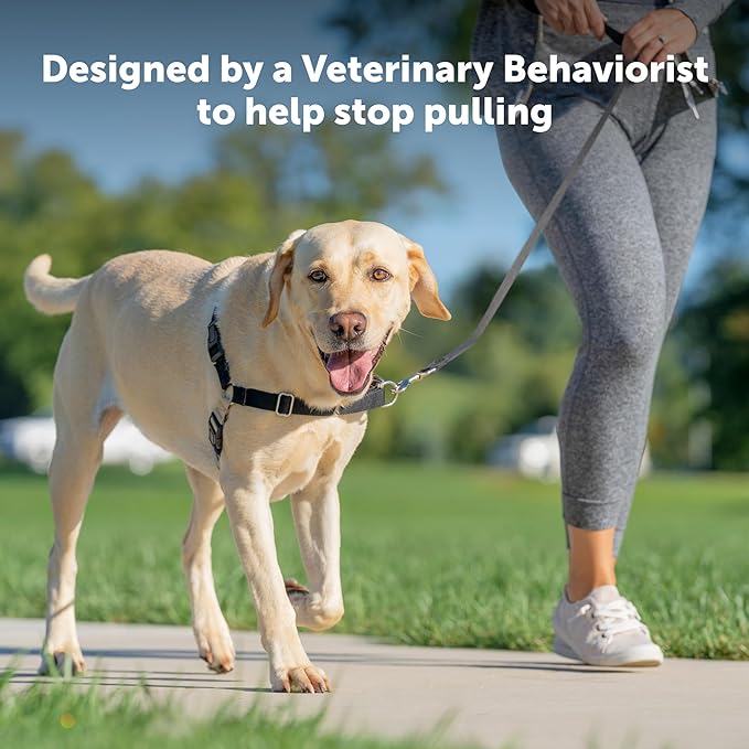 PetSafe Easy Walk No-Pull Dog Harness - The Ultimate Harness to Help Stop Pulling - Take Control & Teach Better Leash Manners - Helps Prevent Pets Pulling on Walks, Medium, Royal Blue/Navy Blue