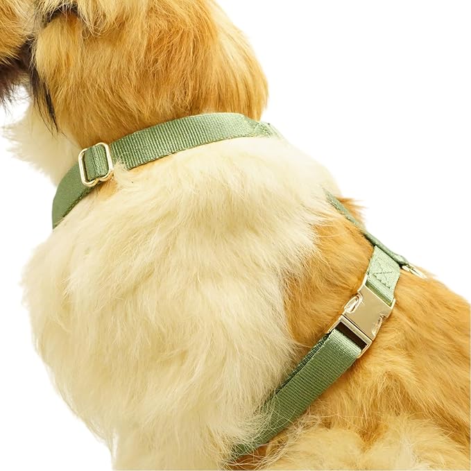 Nylon No Pull Dog Harness with Gold Metal Buckles,Easy Walking and Training Dog Harness (Sage Green, L)