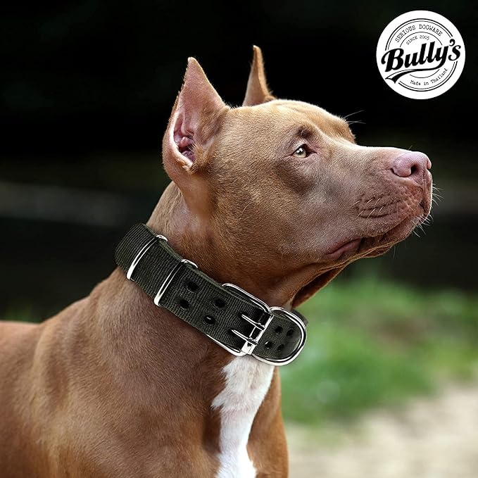 Pit Bull Collar, Dog Collar for Large Dogs, Heavy Duty Nylon, Stainless Steel Hardware (XXL, Fire Engine Red)