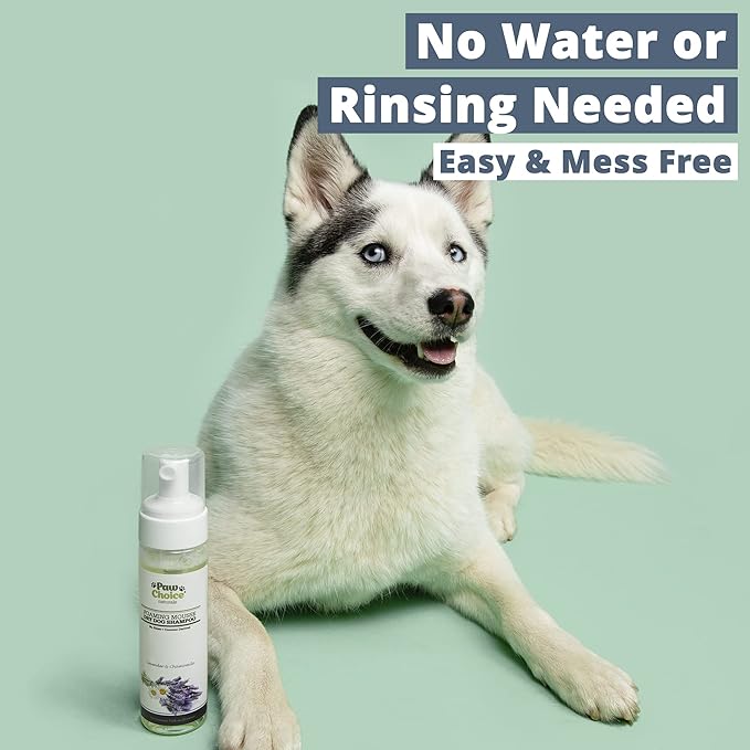 Paw Choice Dry Shampoo for Dogs - Waterless No-Rinse Foam for Odor Removal, Cleaning, Conditioning - Hypoallergenic, Natural - Safe for Sensitive Skin - Made in USA - Lavender Chamomile Scent