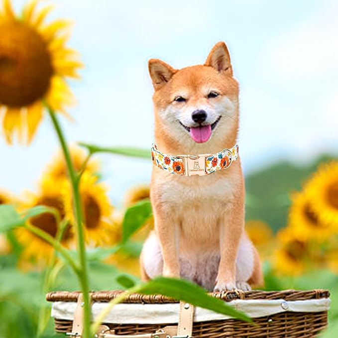 Lionheart glory Dog Collar Sunflower Print Dogs Collar Spring Summer Cute Collars Dog Girl or Boy Soft Durable Adjustable Dog Collars for Large Dogs Pet Gift