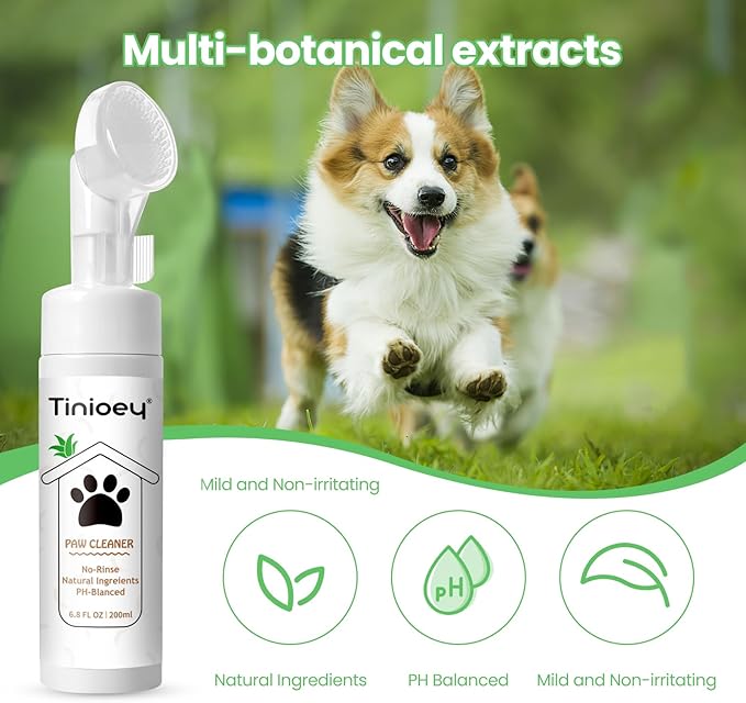 Dog Paw Care Kit | Dog Paw Cleaner for Dogs & Cats (6.8oz) | Dandelion No Rinse Clean Paws Foaming Cleanser | Pet Paw Cleaner Foot Washer w/Natural Lick Safe Dog Paw Pad Blam Stick(2.4 oz)