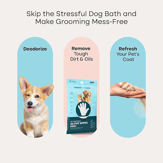 Uproot Clean Dog Cleaning Gloves: 1 Month Supply - Extra-Thick Pet Glove Wipes for Dogs & Cats - Easy Wipe Paws, Eyes, Ears, Butt, & Body - Lick-Safe - Cleaning, Deodorizing & Grooming (6 Pack)