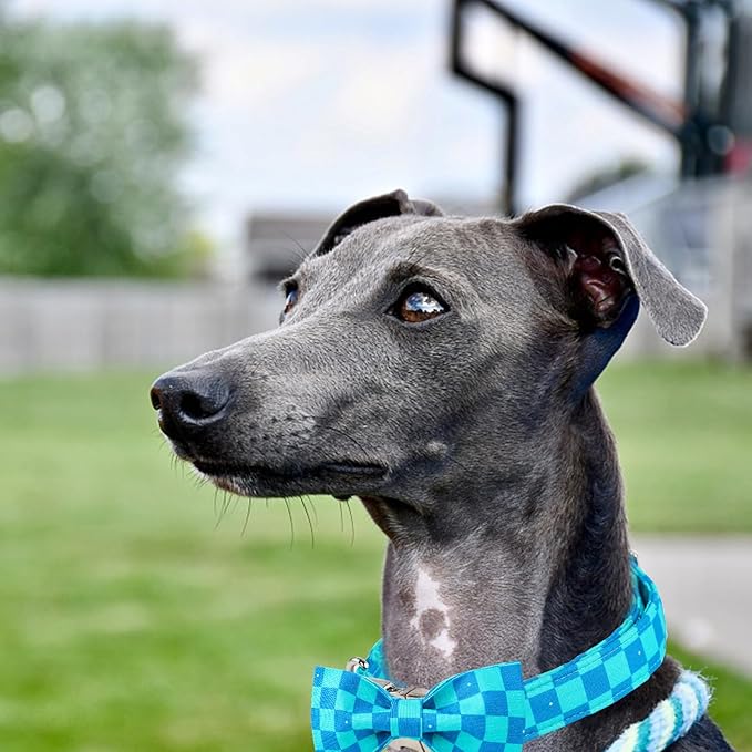 Maca Bates Plaid Blue Dog Collar with Checkered Bow Bowtie for Grid Dogs Bows Tie Adjustable Breakaway Collars Birthday Gift Colar for Small Medium Large XL Girl Boy Male Female Puppy Pets