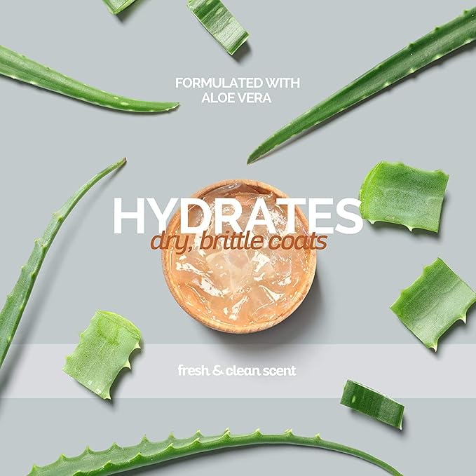 Bark2Basics Re-Moisture Dog Conditioner, 16 oz - Aloe Vera Infused, Adds Moisture, Hydrates Dry Itchy Skin, Sensitive Skin or Allergies, Professional, Aids in DeShedding