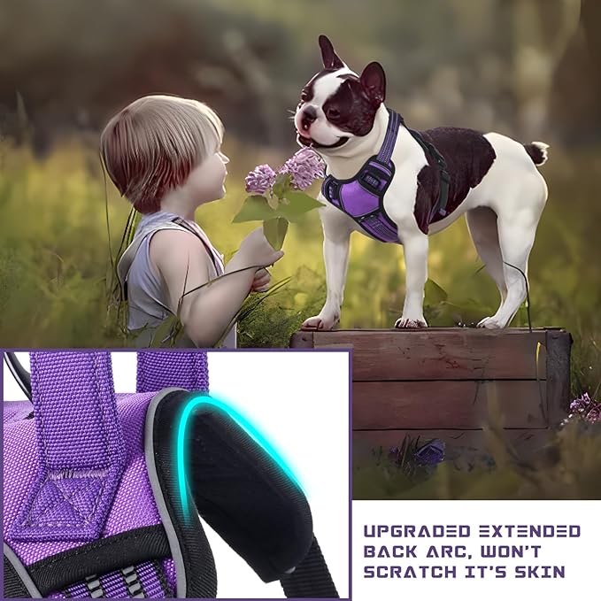 BUMBIN Dog Harness for Large Dogs, No Pull Adjustable No Choke Pet Vest with Dog Leash Fit Smart Reflective Pet Walking Harness for Training Easy Control Soft Handle Purple XL
