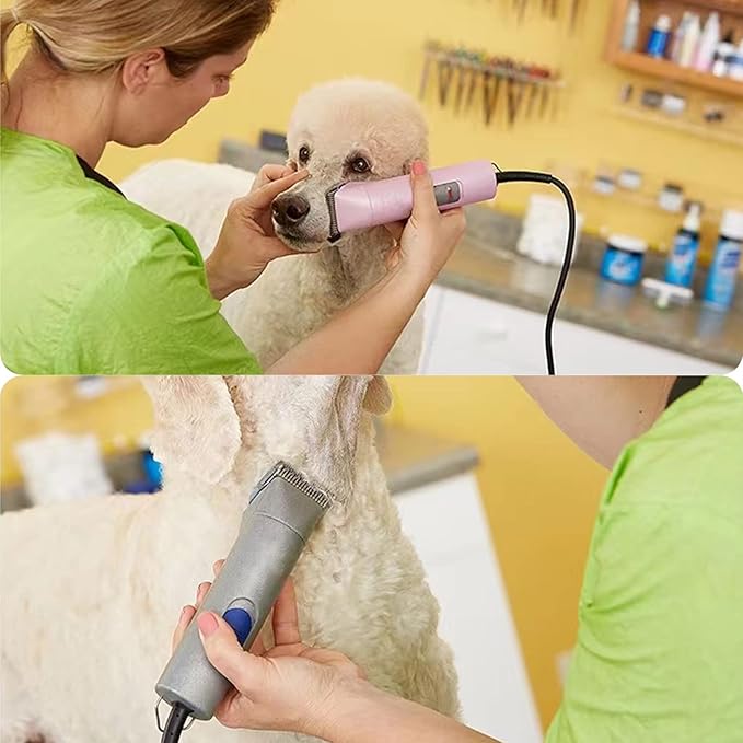 Size 7FC/5FC/4FC Detachable Pet Dog Grooming Clipper Blades Set,Compatible with Andis,Oster A5,Wahl KM Series Clippers,Cut Length 1/8"(3.2mm) to 3/8”(9.5mm),6 Pack-Gold