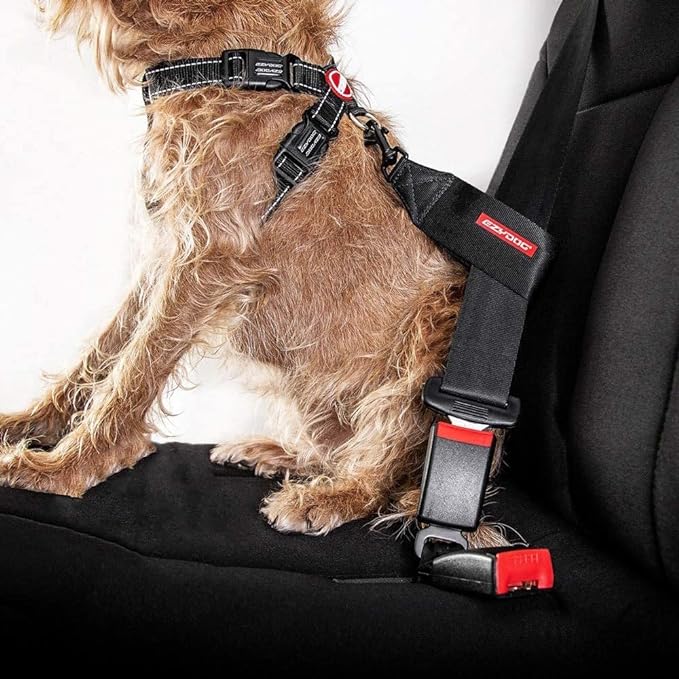 EzyDog Universal Dog Car Restraint - Dog Seat Belt Safety Lead - Abrasion-Resistant Vehicle Seatbelt Harness Attachment with Superior Strength and Nylon Webbing - Easy-to-Use Click It and Go Design