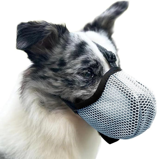 Large Dog Muzzle, Muzzle for Large Dogs to Prevent Eating/Chewing/Biting, Breathable Reflective Adjustable Medium Dog Accessories Dog Muzzle (Blue, M)
