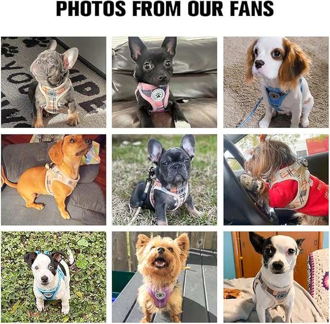 BEAUTYZOO Step in Dog Harness and Leash Set,Reflective Dog Harness No Pull No Choke Puppy Harness for Small Medium Large Dogs Cats,Soft Padded Mesh Vest Harnesses for Girl and Boy Pets, Strawberry S