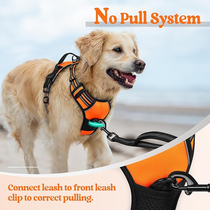 rabbitgoo Dog Harness,No-Pull Pet Harness with 2 Leash Clips,Adjustable Soft Padded Dog Vest,Reflective No-Choke Pet Oxford Vest with Easy Control Handle for Medium Dogs,Orange, M