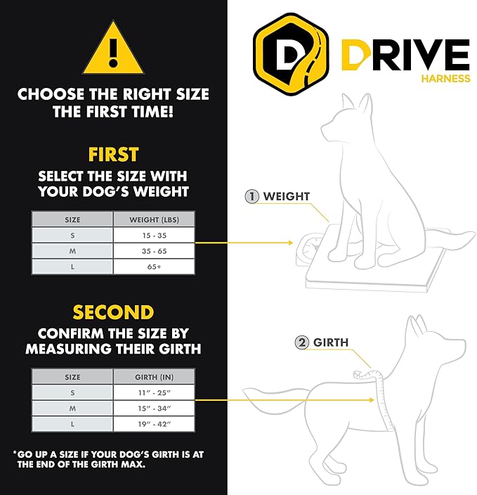 EzyDog Drive Safety Travel Dog Car Harness - Crash Tested US (FMVSS 213) - Premium Vehicle Restraint Vest for Protection and Comfort - Easy One Time Fit and Use with Car Seat Belt (Medium) Black