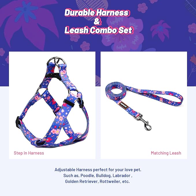 QQPETS Dog Harness Leash Set Adjustable Heavy Duty No Pull Halter Harnesses for Small Medium Large Breed Dogs Back Clip Anti-Twist Perfect for Walking (S(14"-20" Chest Girth), Cornflower Blue)