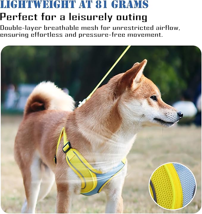No Pull Dog Harness with Leash Set All Weather Soft Padded Mesh Reflective X Shape Adjustable Step in Vest Harness for Small and Medium Dogs Big Cat M Pink