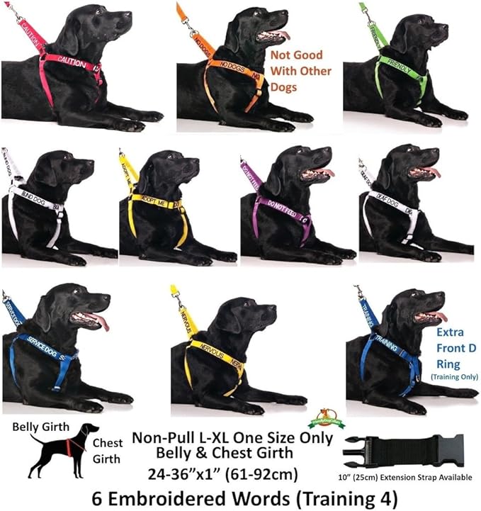 Limited Blind Dog White Color Coded Alert Warning L XL Non-Pull Dog Harness Prevents Accidents by Warning Others of Your Dog in Advance