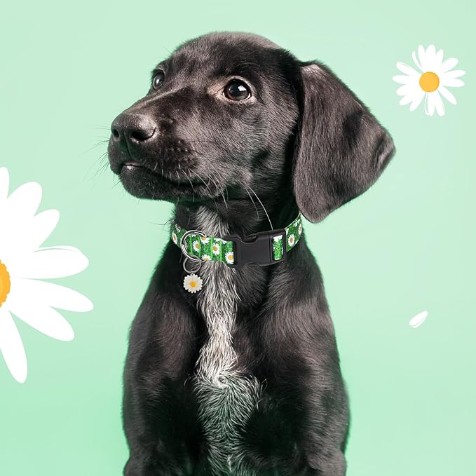 BiPawTi Green Dog Collars with Flower Floral - St. Patrick's Day Dog Collars for Puppies, Spring Dogs Collar for Girl Boy Female Dogs Pet, Cute Dog Collar with Pretty Daisies Charms (S, Green)