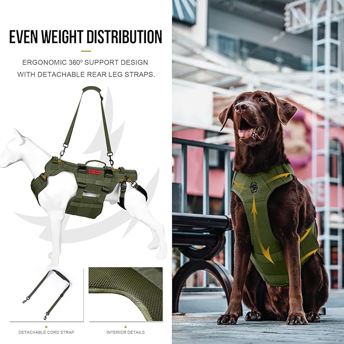 OneTigris Dog Lift Harness for Large Dogs, Dog Hip Support Brace, Full Body Dog Lifter with Handles Invictus Multifunctional Mobility Assistance Vest for Back Legs (Green, Small)