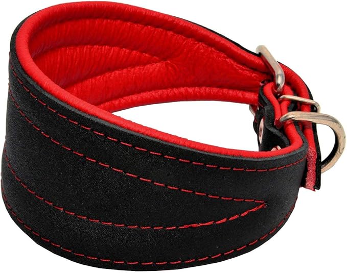 Real Leather Extra Wide Padded Tapered Dog Collar Glossy Black Greyhound Saluki Deerhound Lurcher Whippet Dachshund (14.25"-17" Neck; 2.5" Wide, Red)