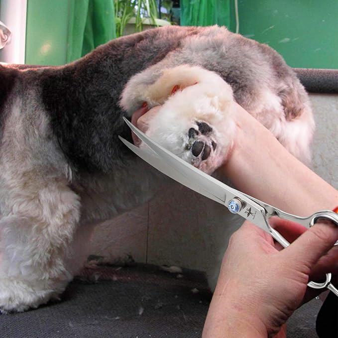 PURPLEBIRD 8 Inch Left Handed Downward Curved Dog Grooming Scissors Professional Pet Cutting Shears Safety Noiseless Blunt Tip Trimming Shearing for Dogs Cats Japanese Stainless Steel Silver