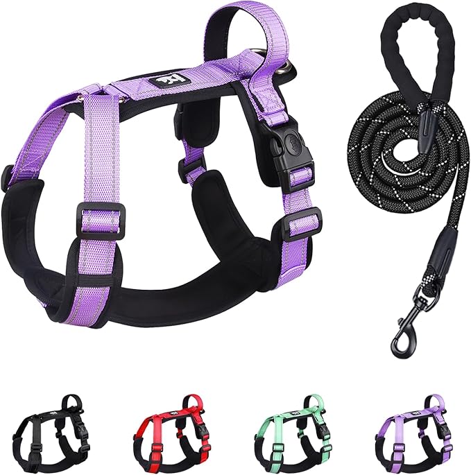 Patas Lague No Pull Dog Harness for Small Medium Dogs, Soft Adjustable Step in No Choke Dog Harness and Leash Set, Reflective Solid Dog Vest Harness with Buckle Lock, Purple L