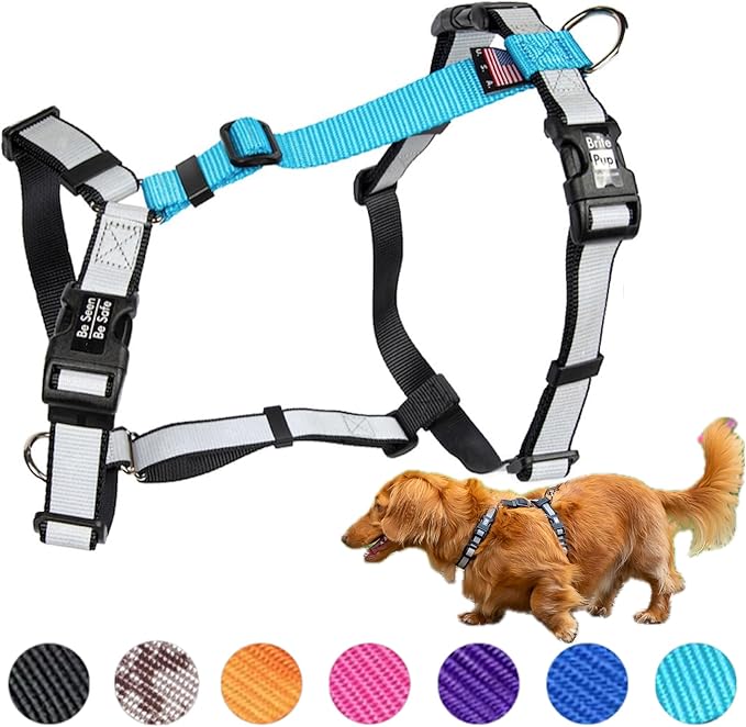 No Pull Harness with Fully Customizable Fitment for XS Dogs - 3M Reflective Heavy Duty Harness for Walking & Training - No Choke Comfortable Collar Design, Made in USA XS-Sky Blue