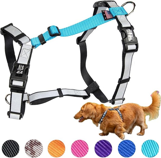 No Pull Harness with Fully Customizable Fitment for XS Dogs - 3M Reflective Heavy Duty Harness for Walking & Training - No Choke Comfortable Collar Design, Made in USA XS-Sky Blue