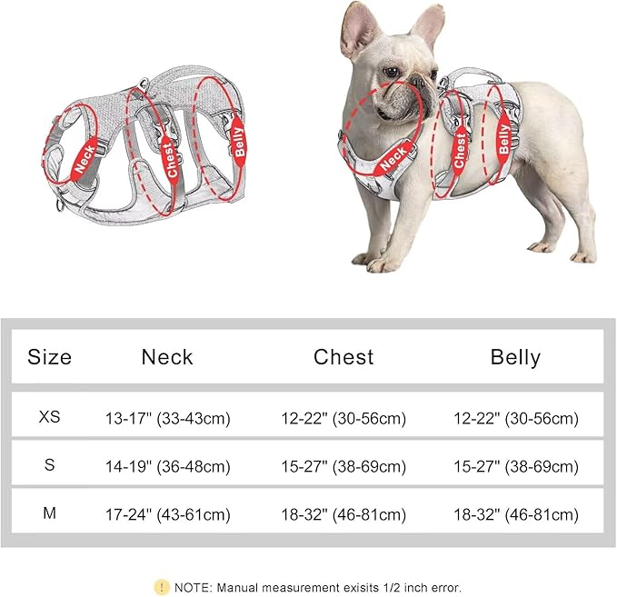 Beirui Escape Proof Dog Harness,Soft Padded Dog Vest No Pull with Lift Handle,Durable Reflective Waterproof Full Body Pet Harness for Small Medium Dogs Walking Training(Orange,Chest 18-32")