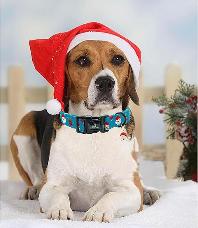 Lionheart glory Christmas Dog Collar, Blue Christmas Santa Deer Dogs Collar Adjustable Soft Comfortable Collars for Medium Dogs Girl or Boy Pet Gift Fall Cute Collar